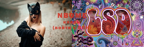 прущие грибы Арсеньев