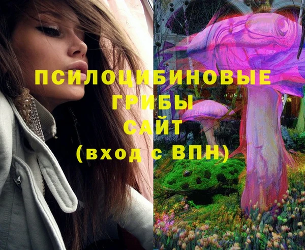 apvp Балабаново