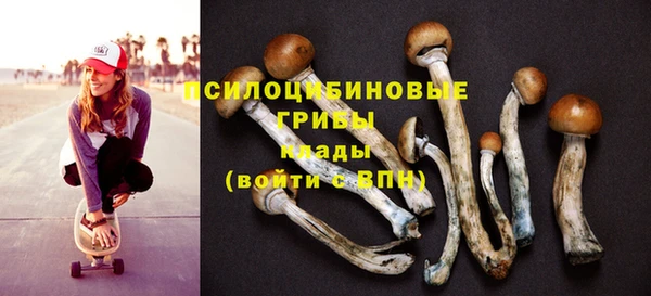 прущие грибы Арсеньев