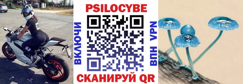 закладка Лабытнанги Галлюциногенные грибы Psilocybe