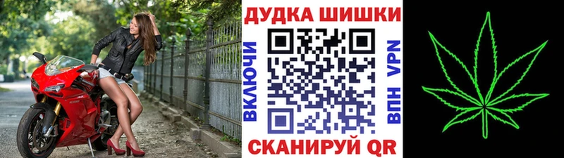 хочу Лабытнанги Шишки марихуана MAZAR